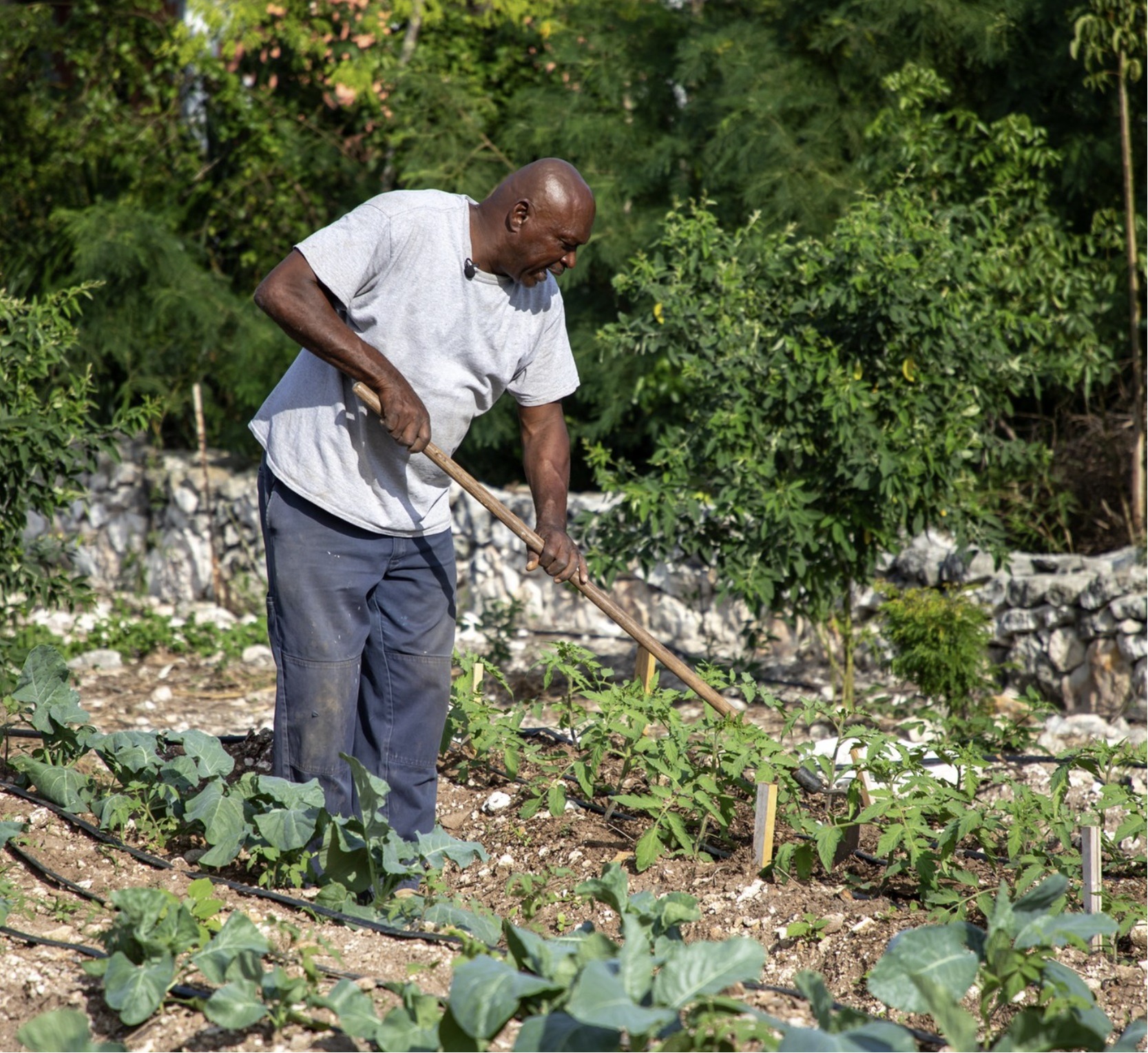 Benefits of Farmer Registration